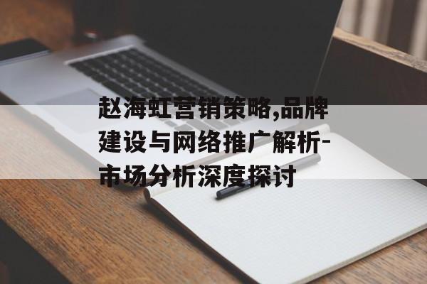 赵海虹营销策略,品牌建设与网络推广解析-市场分析深度探讨