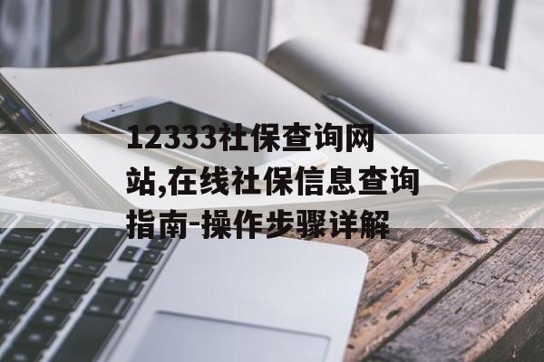 12333社保查询网站,在线社保信息查询指南-操作步骤详解