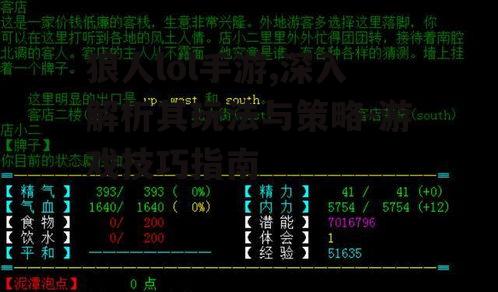 狼人lol手游,深入解析其玩法与策略-游戏技巧指南