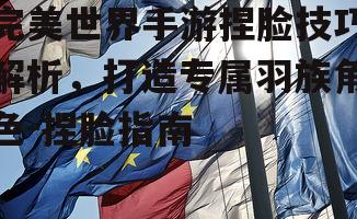 完美世界手游捏脸技巧解析，打造专属羽族角色-捏脸指南