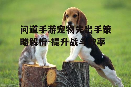 问道手游宠物先出手策略解析-提升战斗效率