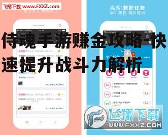 侍魂手游赚金攻略-快速提升战斗力解析