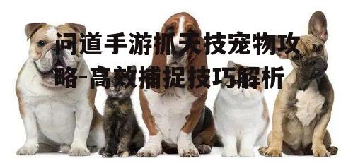 问道手游抓天技宠物攻略-高效捕捉技巧解析