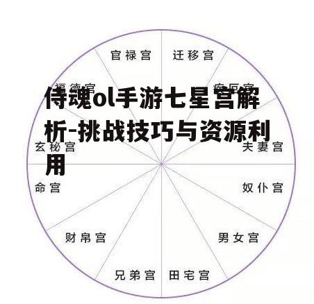 侍魂ol手游七星宫解析-挑战技巧与资源利用