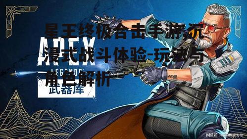 星王终极合击手游,沉浸式战斗体验-玩法与角色解析
