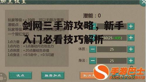 剑网三手游攻略，新手入门必看技巧解析