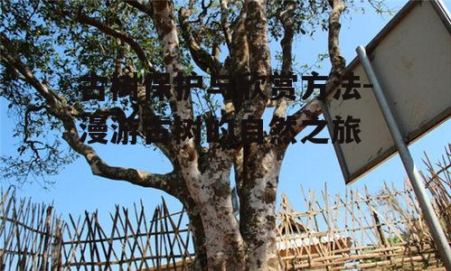 二、古树的识别与分类