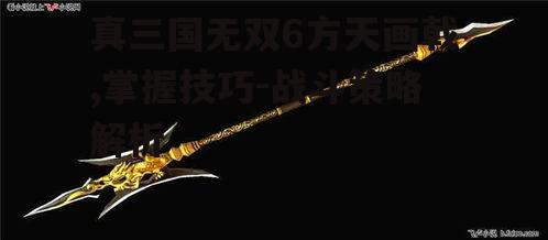 二、方天画戟的战斗策略与战术应用