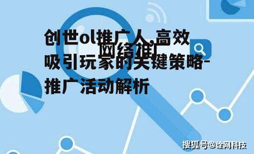 二、推广策略的制定与执行
