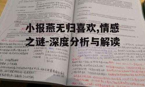 二、小报燕无归喜欢：情感表达与心理分析