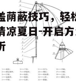 二、检查伞盖结构