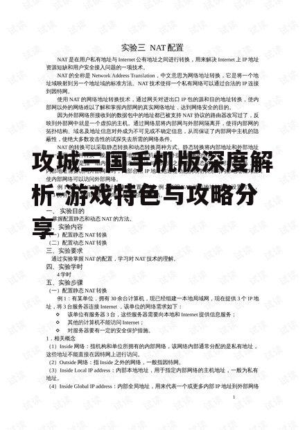 三、攻略与技巧分享