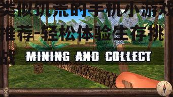 类似饥荒的手机小游戏推荐-轻松体验生存挑战