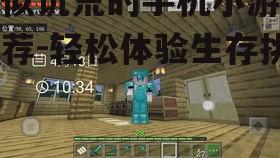 2. 方块人:生存挑战