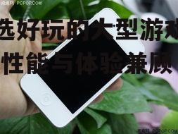 挑选好玩的大型游戏手机-性能与体验兼顾