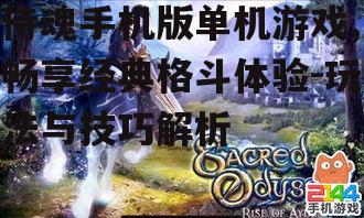 侍魂手机版单机游戏,畅享经典格斗体验-玩法与技巧解析