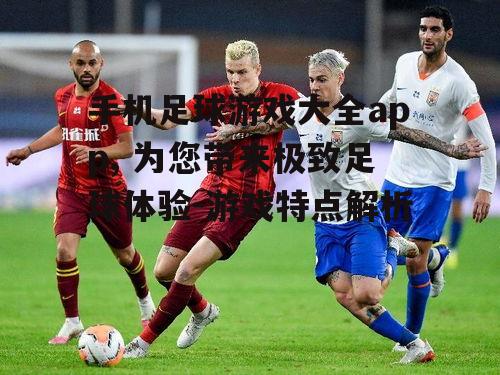 二、丰富的球队与球员选择