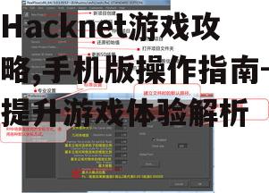 Hacknet游戏攻略,手机版操作指南-提升游戏体验解析
