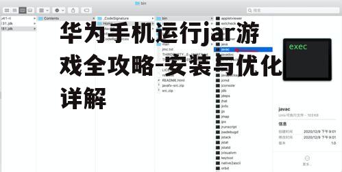 二、下载并安装Java模拟器