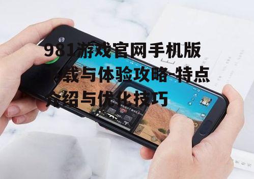 981游戏官网手机版下载与体验攻略-特点介绍与优化技巧