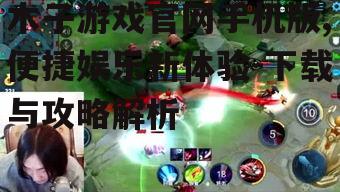 三、木子游戏官网手机版游戏攻略
