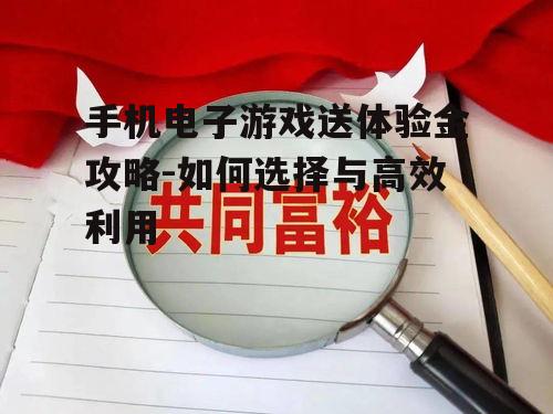 三、合理分配体验金