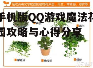 三、植物搭配与升级