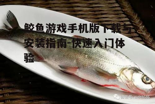鲛鱼游戏手机版下载与安装指南-快速入门体验