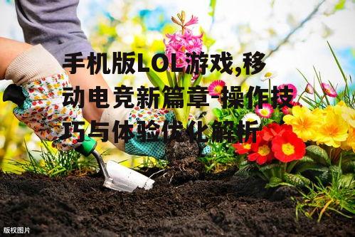 二、游戏操作技巧解析