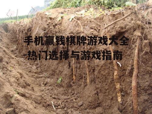 二、选择合适的游戏平台