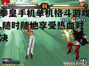 三、如何选择适合自己的拳皇手机单机游戏