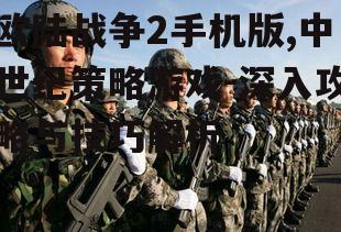 三、军事战略与战术运用