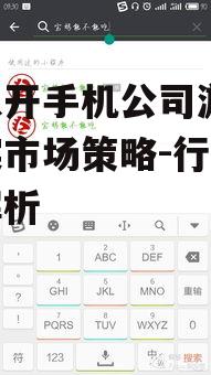 模拟开手机公司游戏,真实市场策略-行业竞争解析