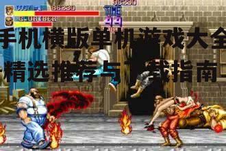二、横版动作游戏精选