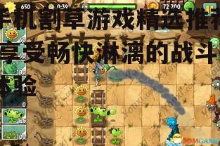 2. 狂野西部：割草冒险