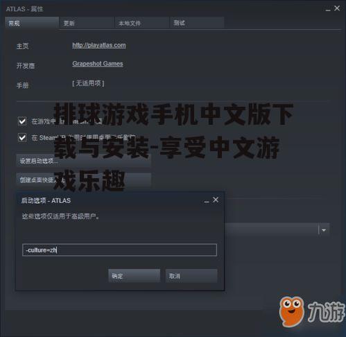 排球游戏手机中文版下载与安装-享受中文游戏乐趣