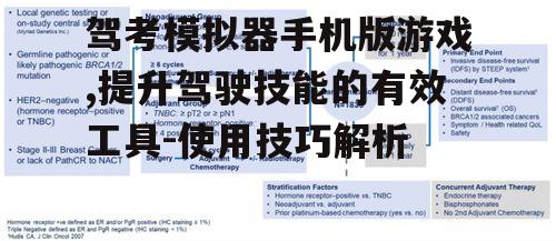 三、多样化的练习模式