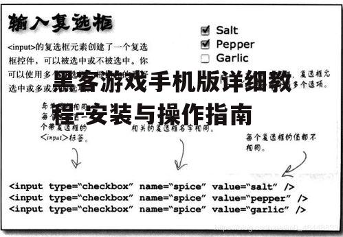 三、基础操作指南