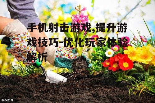 二、掌握基本操作与技巧