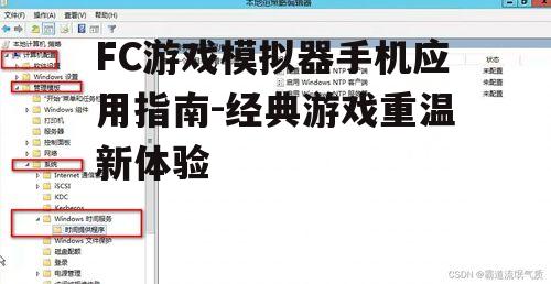 三、模拟器的配置与优化