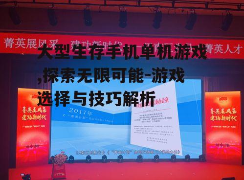 三、游戏技巧分享