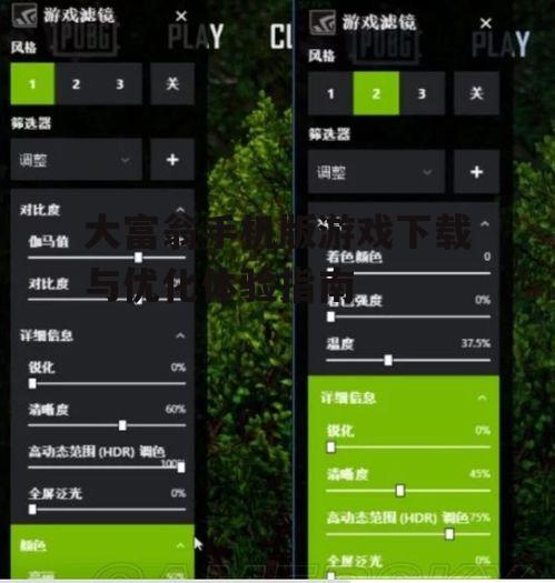 三、游戏操作与设置优化