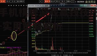 三、合理管理筹码和资金