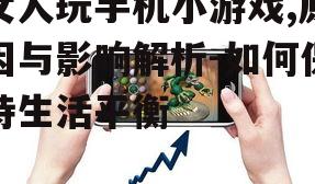 二、手机小游戏对女性的影响