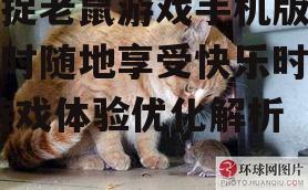 猫捉老鼠游戏手机版，随时随地享受快乐时光-游戏体验优化解析