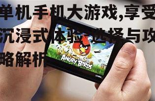 单机手机大游戏,享受沉浸式体验-选择与攻略解析