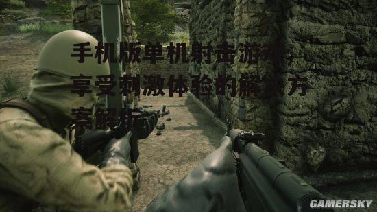 二、选择适合自己的射击游戏