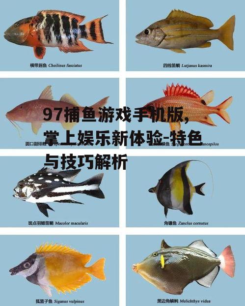 二、丰富多样的鱼类与奖励