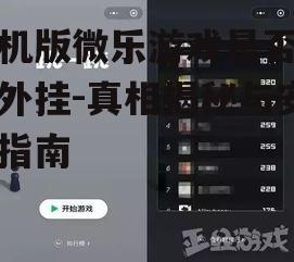 二、手机版微乐游戏外挂现状分析