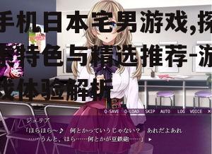 二、日本宅男游戏的类型
